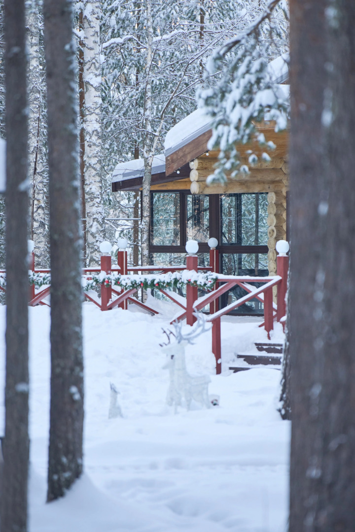 База отдыха Шишки Карелия