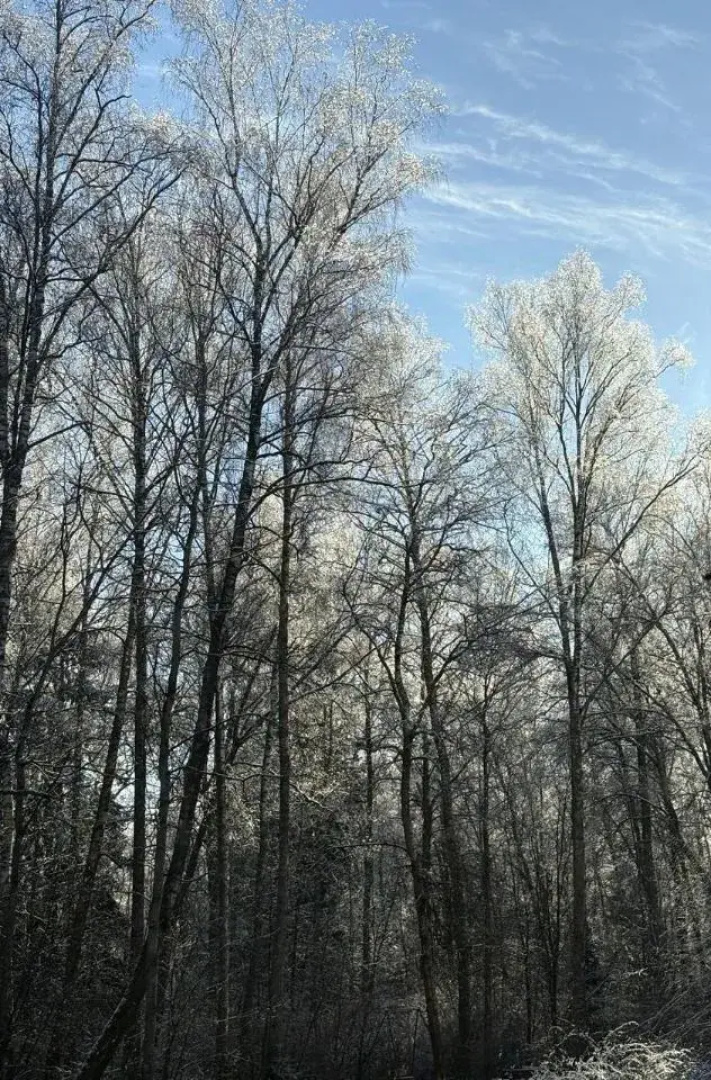 Квартира Витро