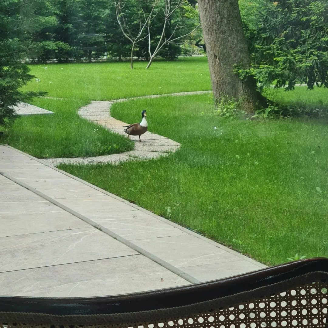 Апартаменты Villa Musik