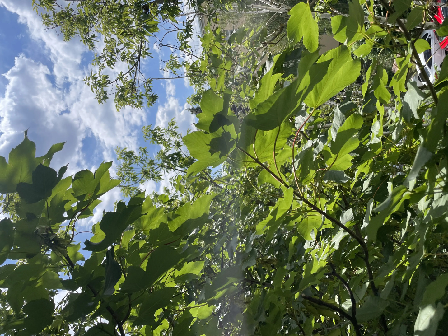 Квартира на улице Ленина 318/2