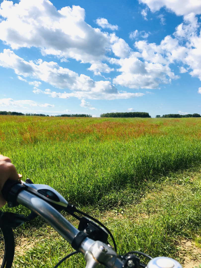 Частный дом Дом на Волге