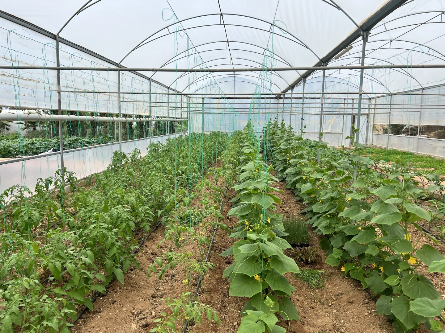 Отель Karpaz Gate Marina