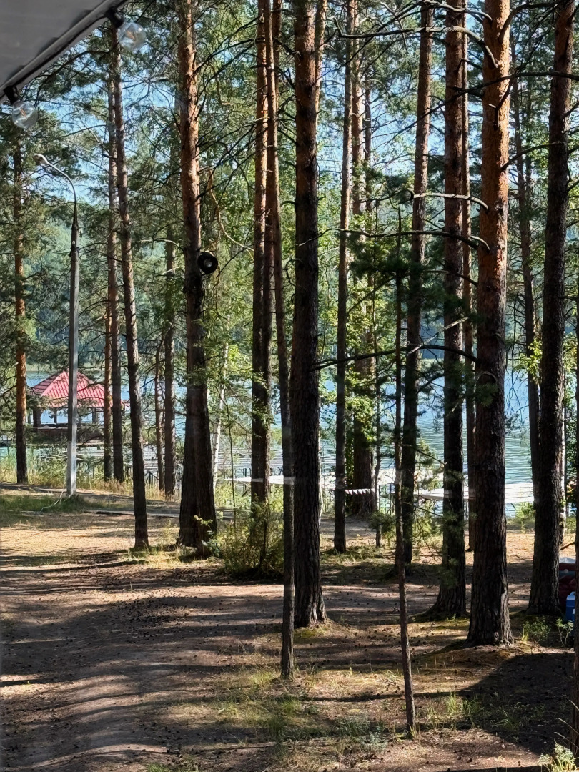 Частный дом Белый и сосны