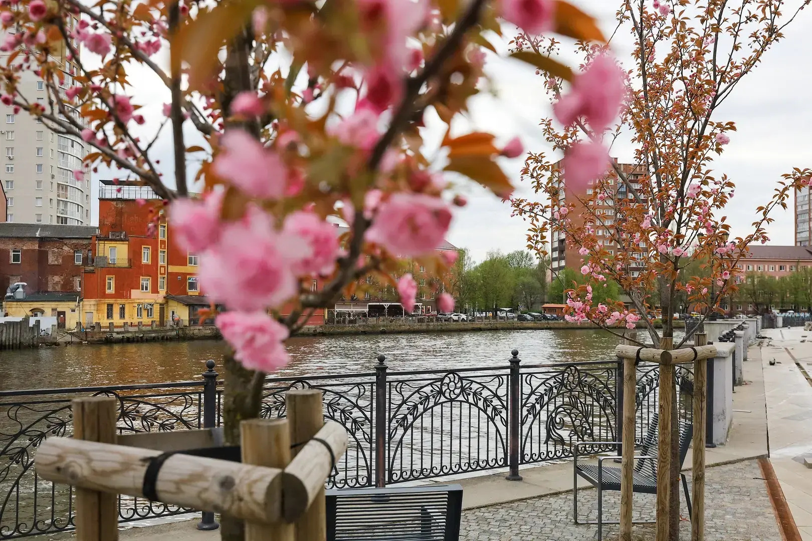 Квартира на острове Канта