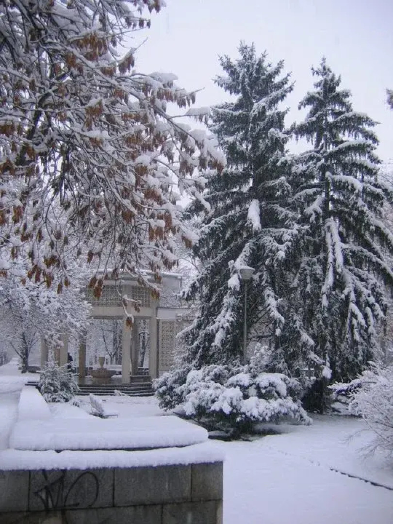 Отель Чинар