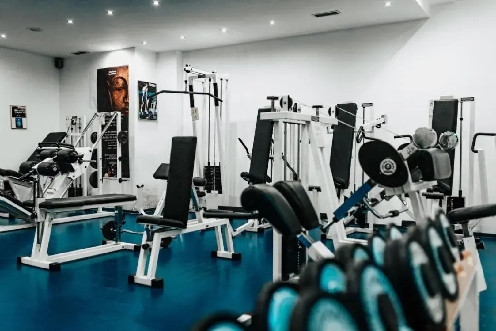 Отель Rahat Palace