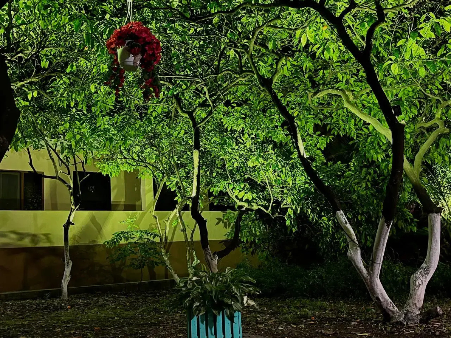 Мини-отель Калипсо