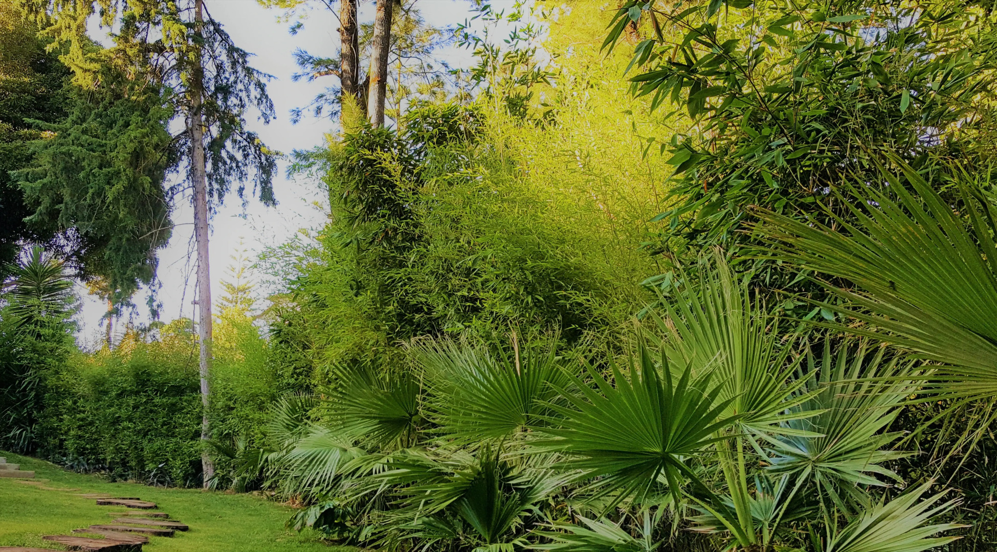 Апартаменты Engy Estoril - Luxury Suites