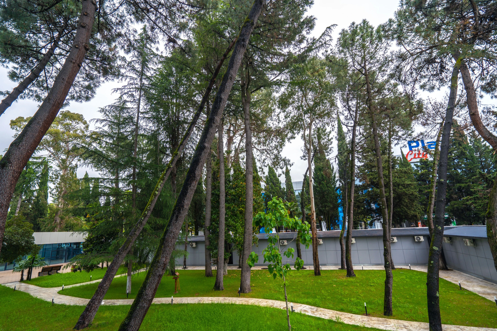 Апартаменты ПосуточноСочи.рф в центре Адлера