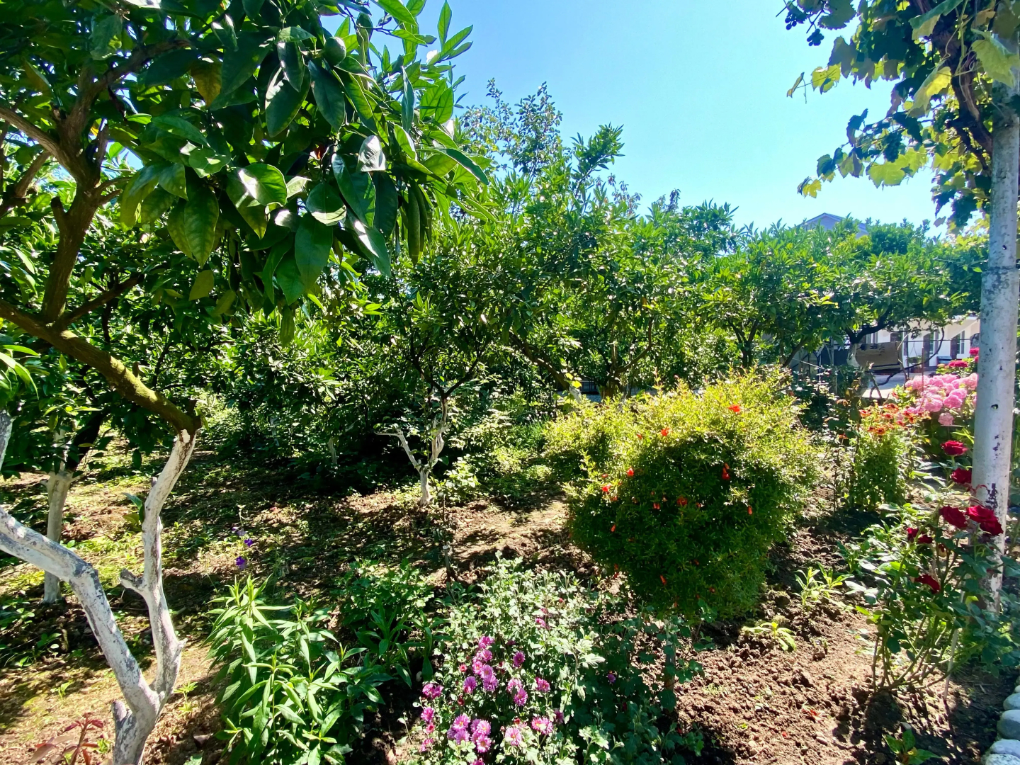 Гостевой дом U Norika i Susanny