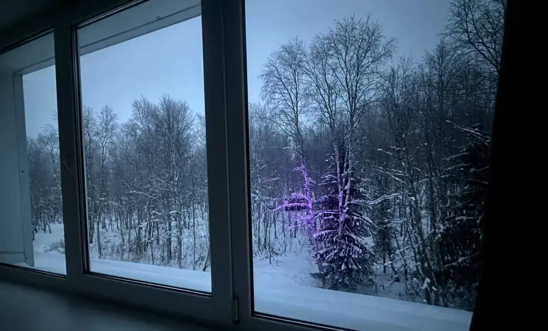 Отель Лапланидия