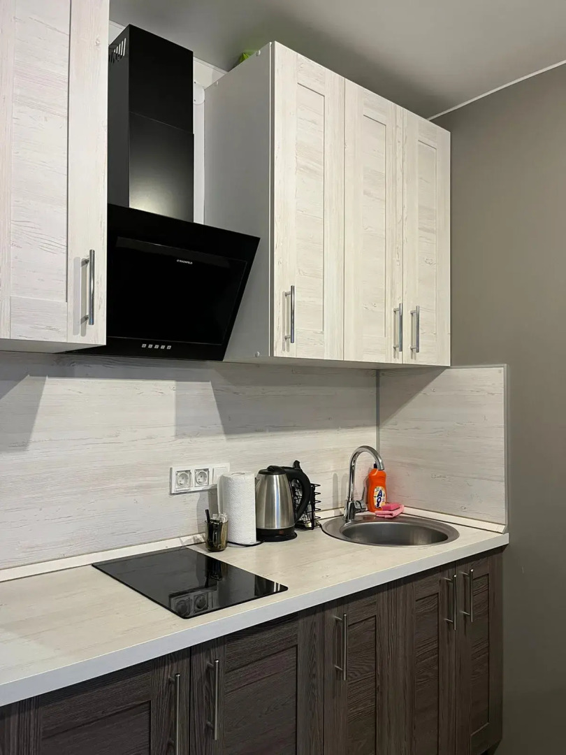 Апартаменты Скромность и уют