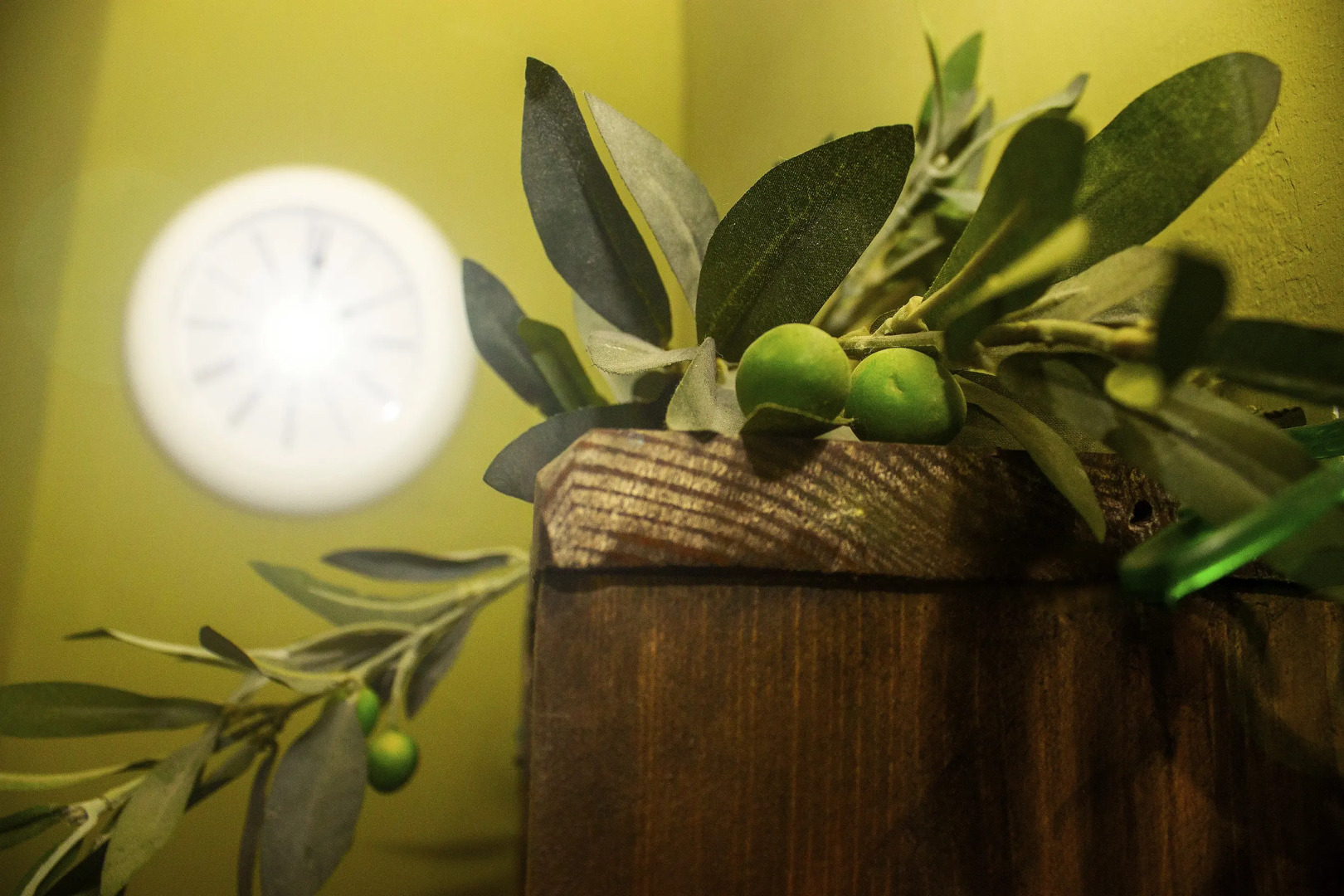 Отель Олива