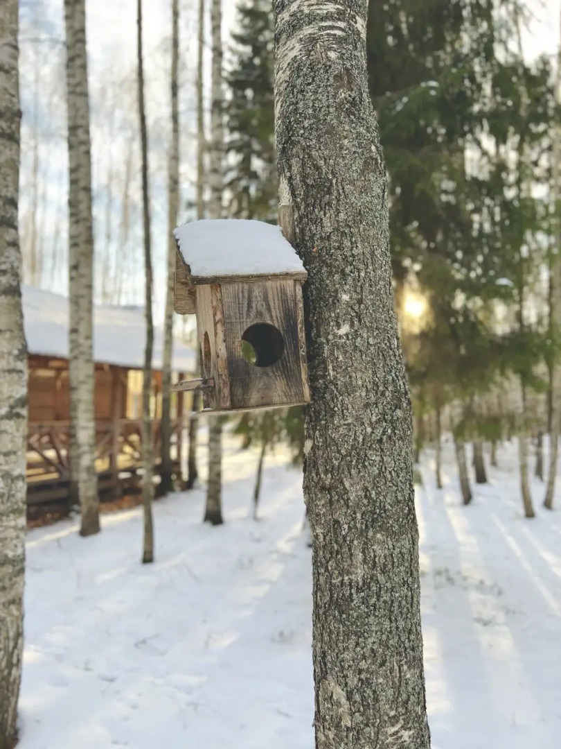 База отдыха Крутояр