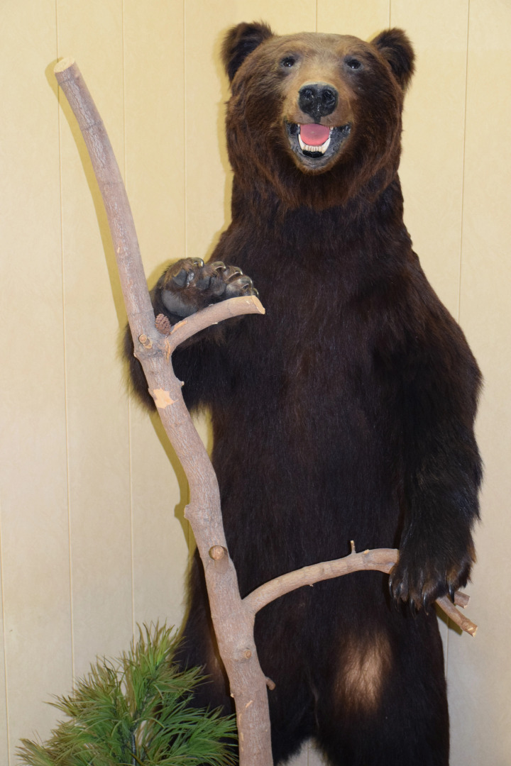 Отель Регион 59