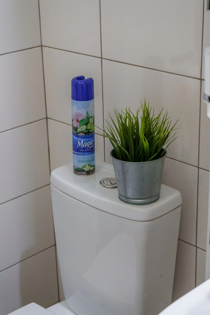 Апартаменты Alpine Castle 1