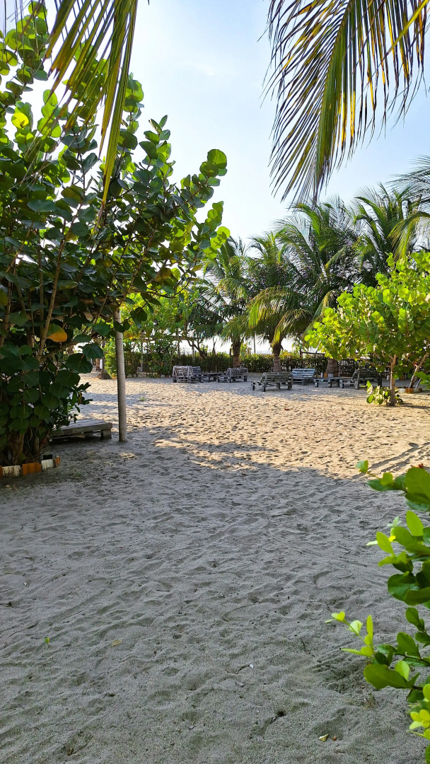 Ночлег и завтрак (B&B) Chevere Beach Hotel Frente Al Mar