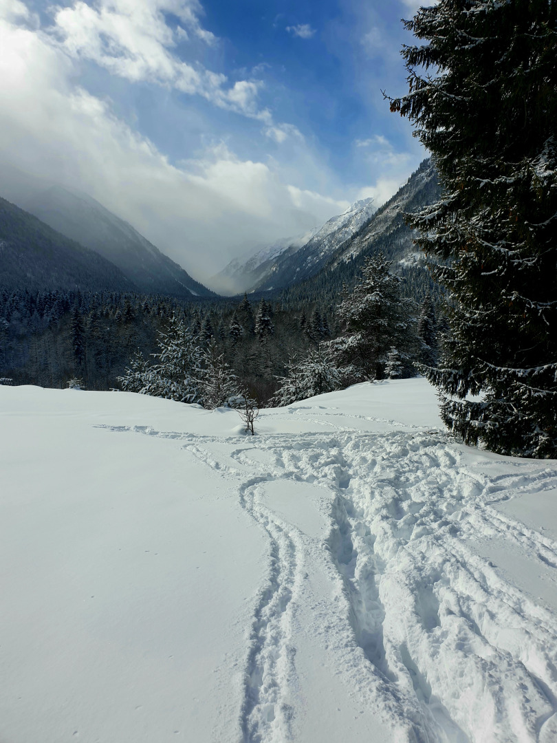 Апартаменты Санчаро