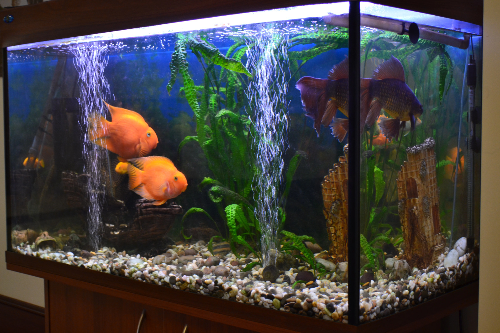 Отель Меридиан