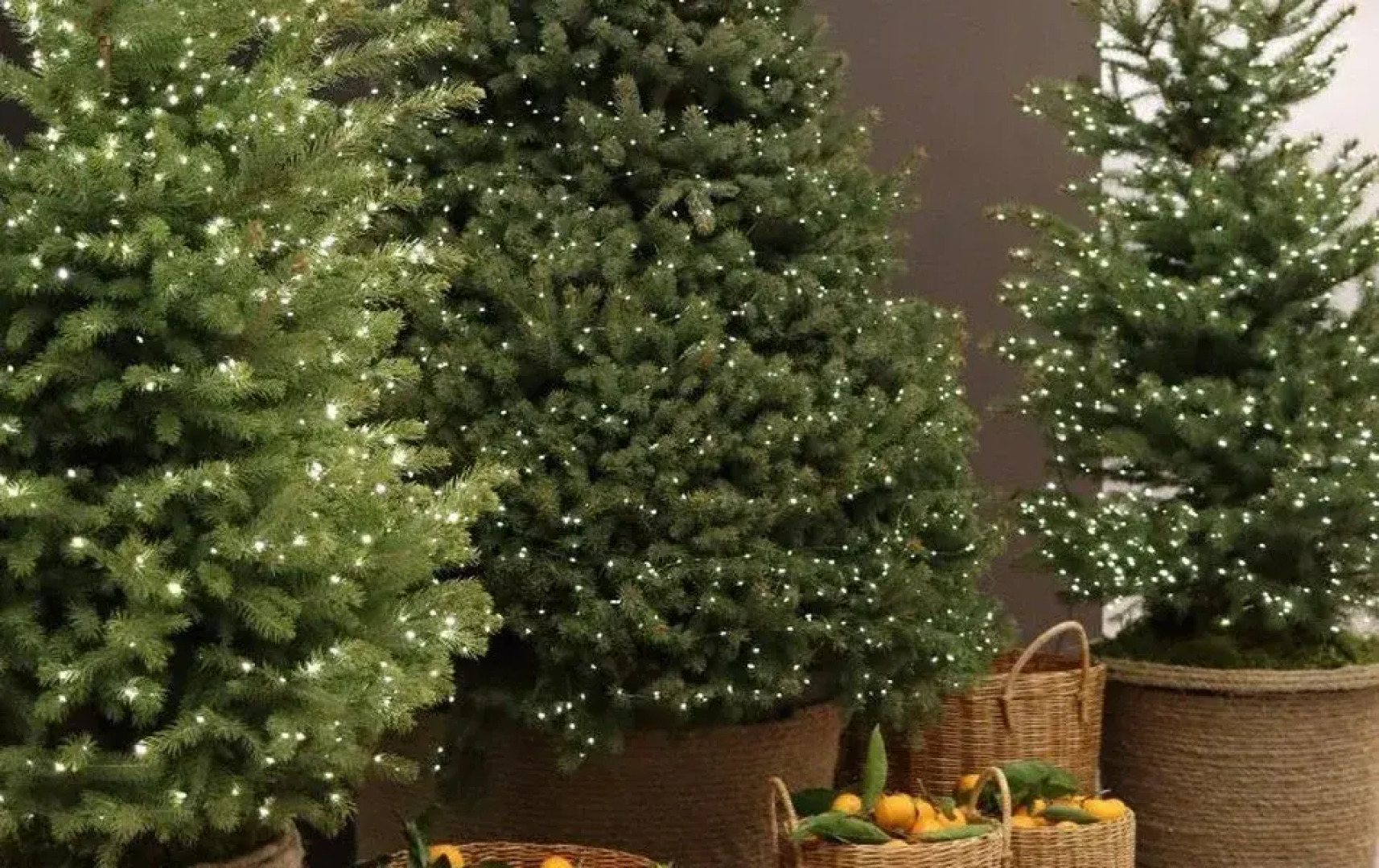 Отель Изумруд