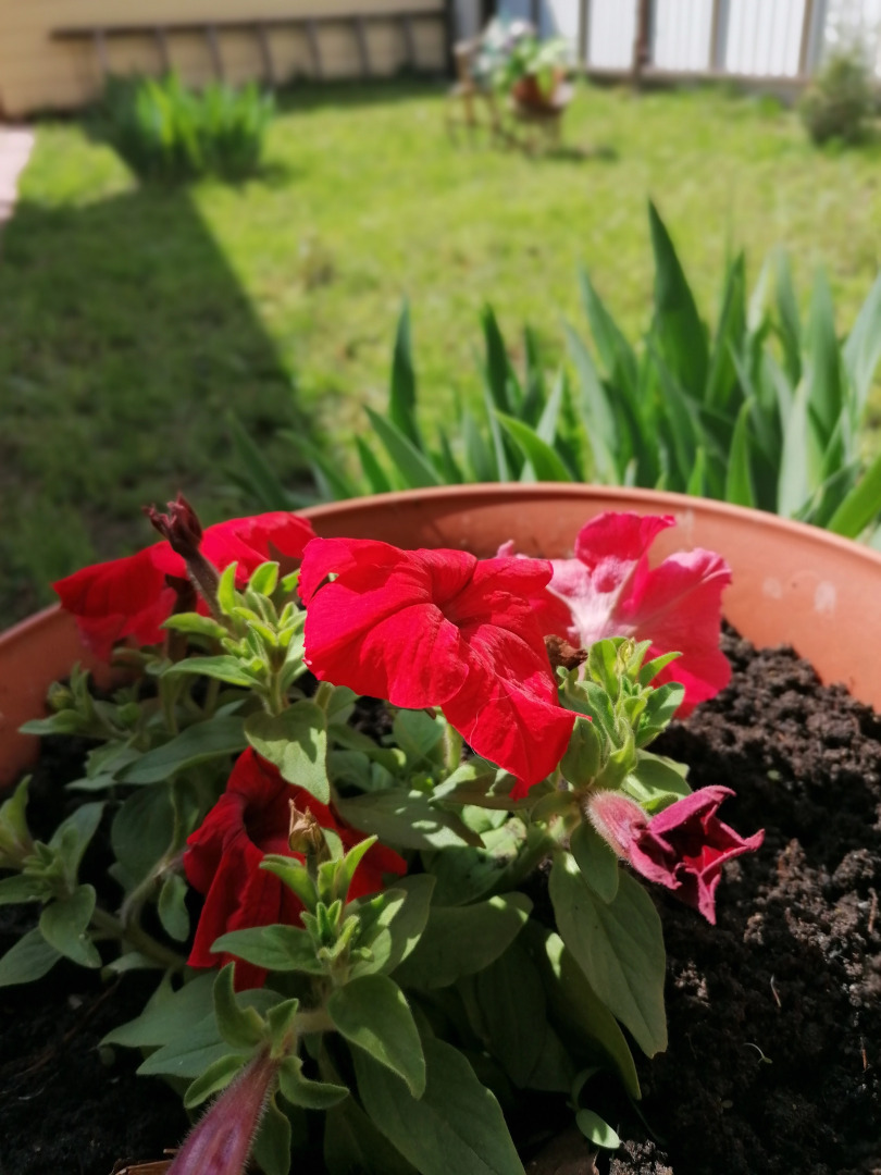 Гостевой дом У Юли