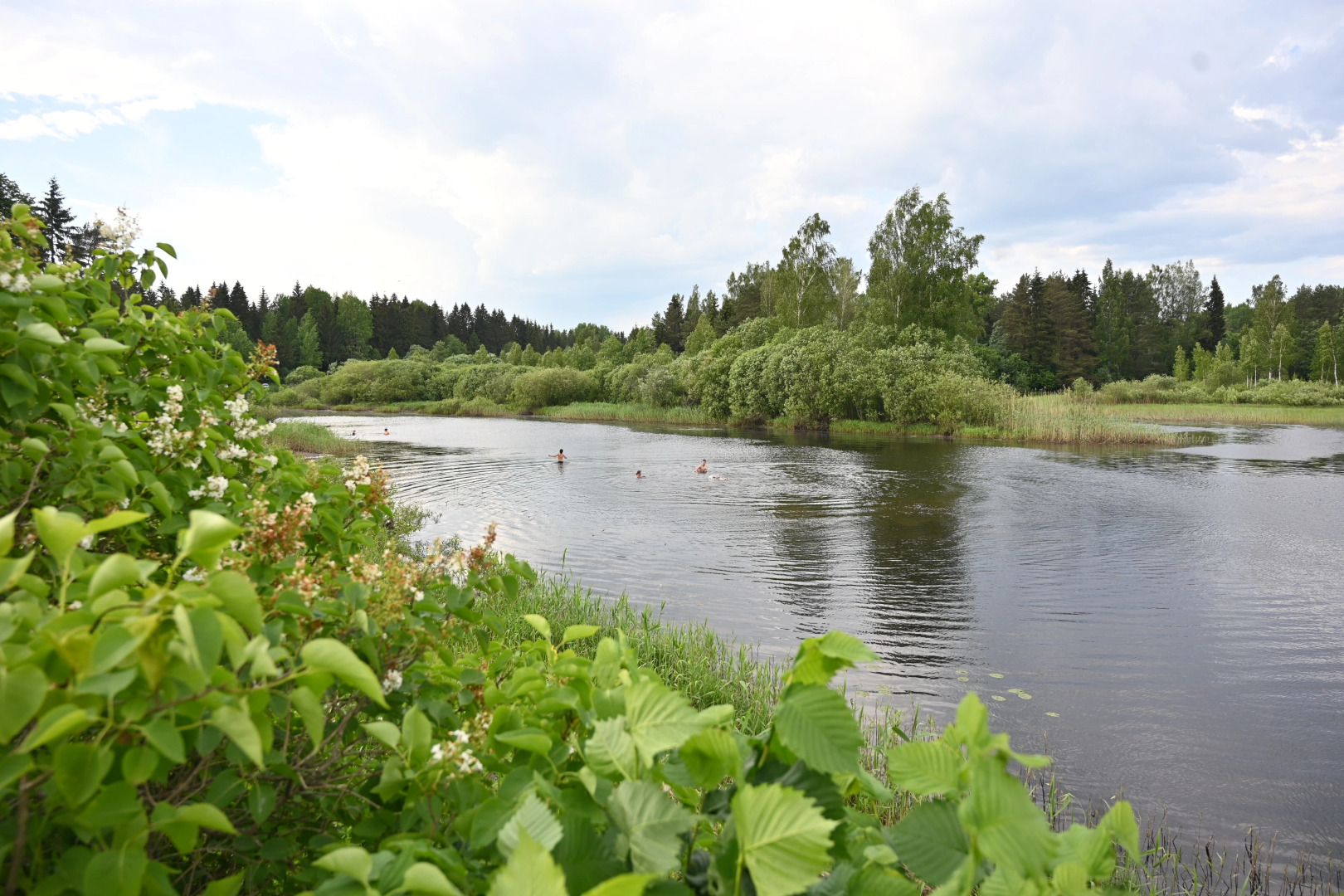 Дом Namaste vegetarian camp