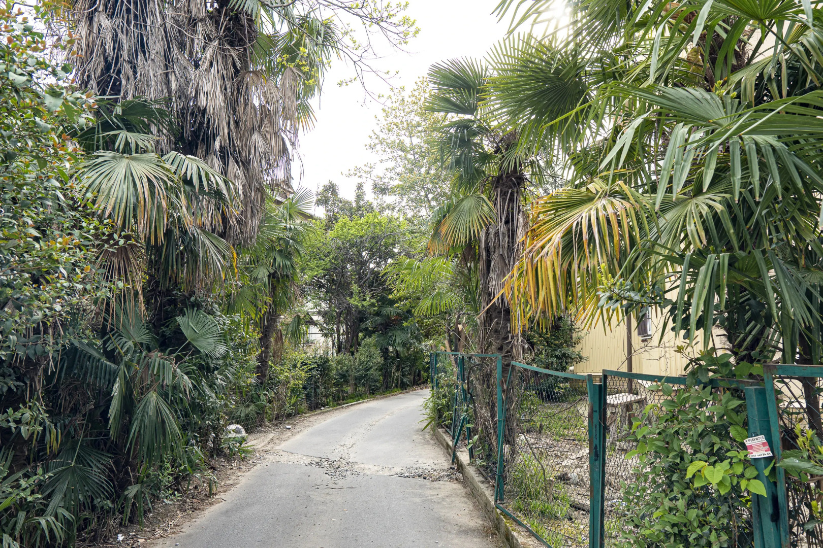 Квартира Капри Хаус Шестиместная Хоста Лофт