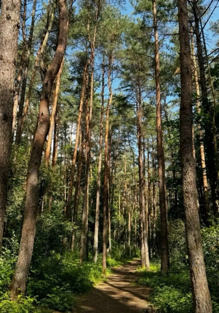 Гостевой дом Усадьба Семейная