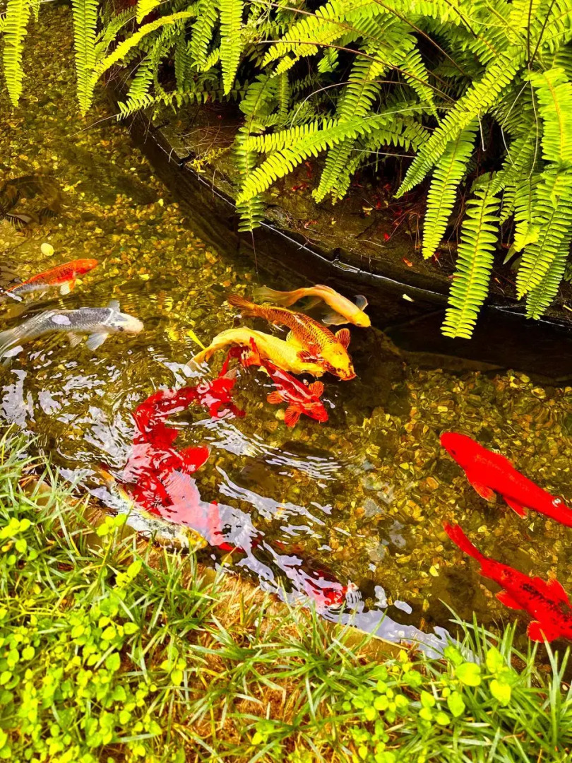 Гостевой дом Белый парус