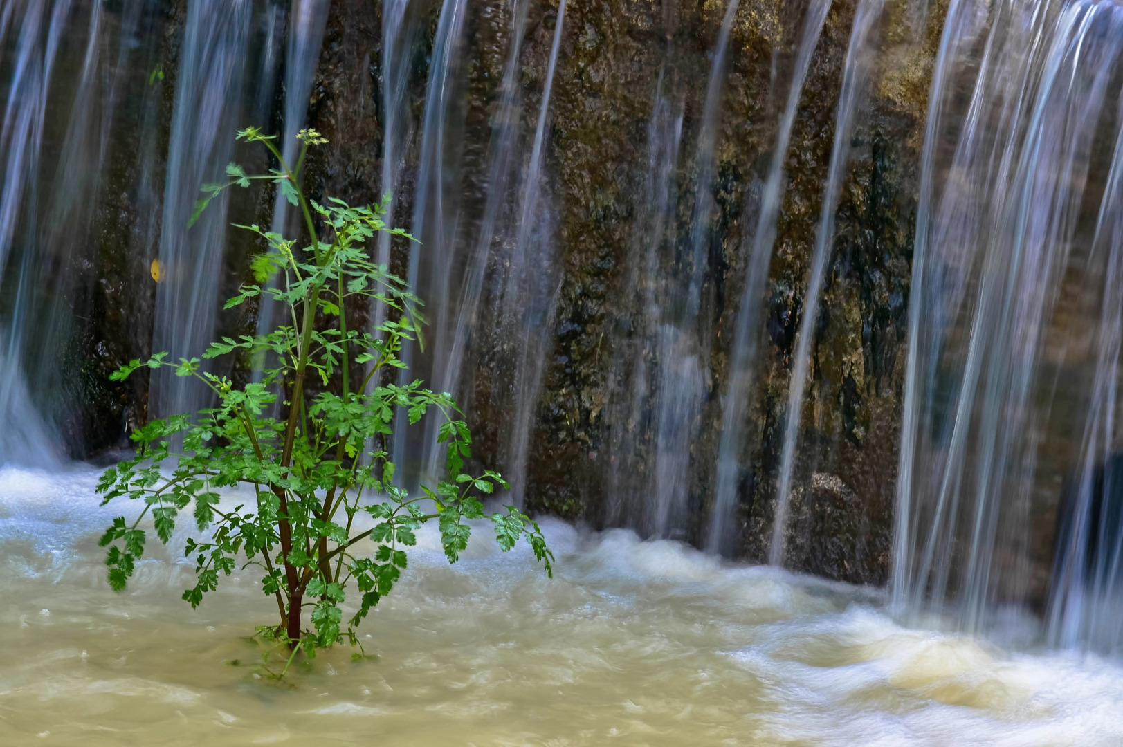 Курортный отель Pure Monchique Hotel by Unlock Hotels