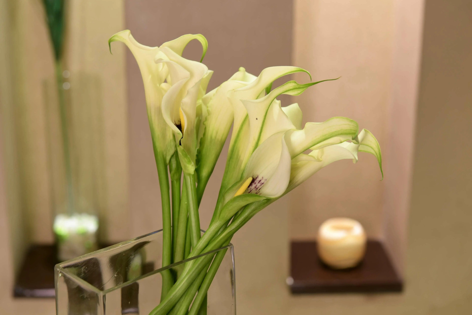 Radisson Blu Hotel Cairo Heliopolis