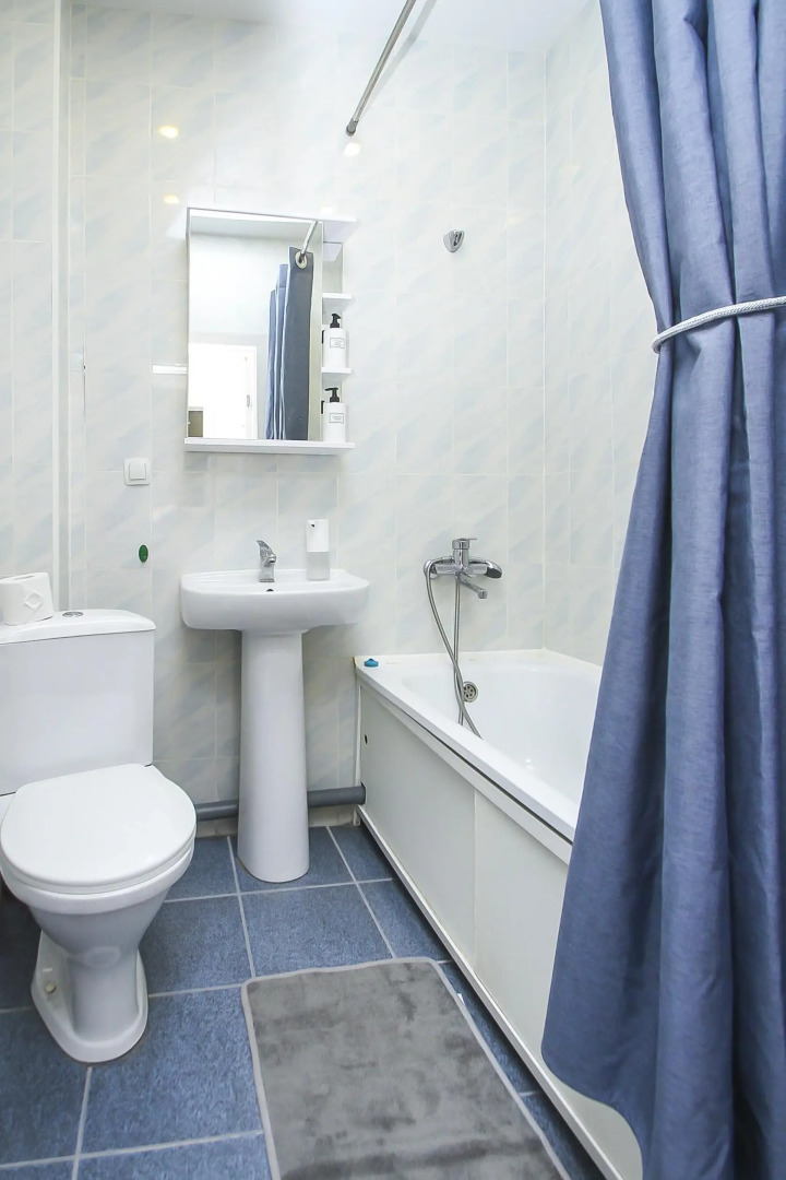 Апартаменты 1 комнатные Каролинского 9