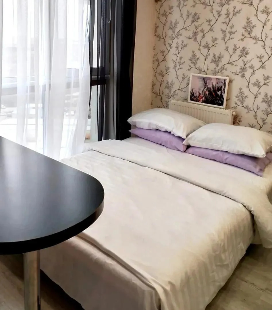 Квартира Студия Ягодка