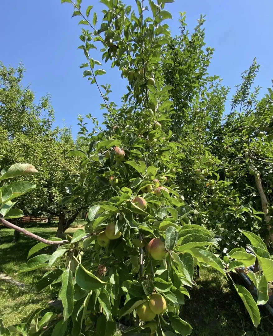 Частный дом Уют горных вершин