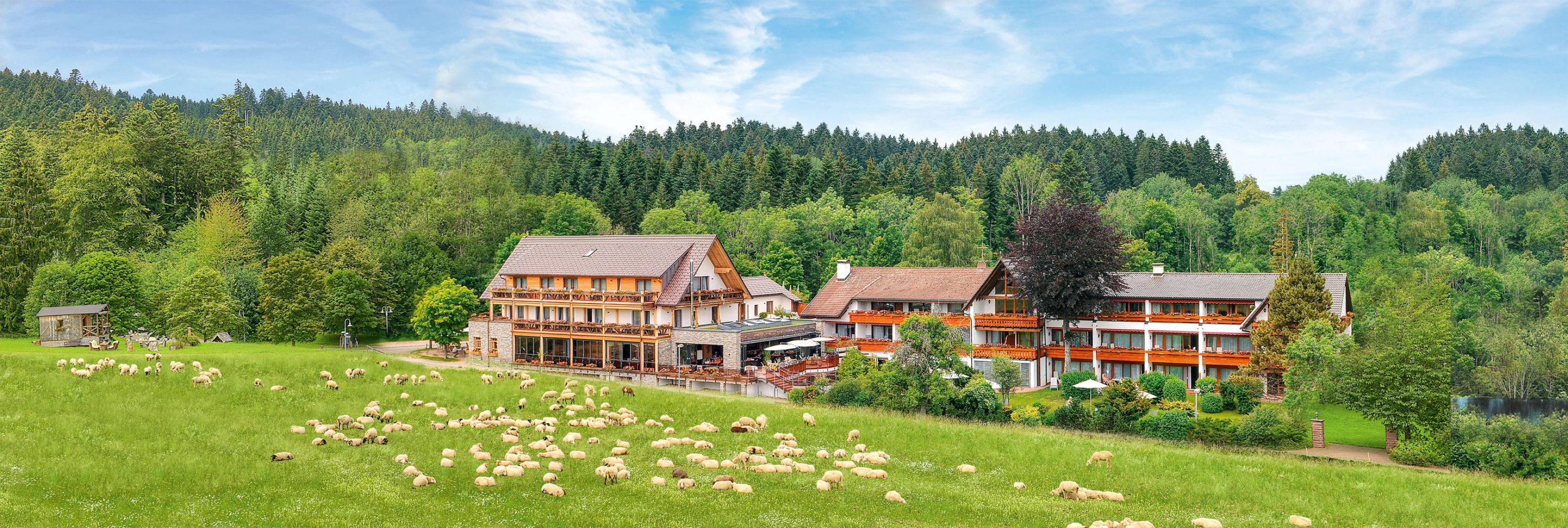 Отель Gruener Wald