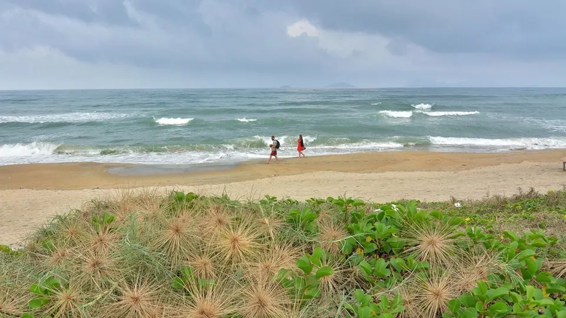 Вилла Plants Garden