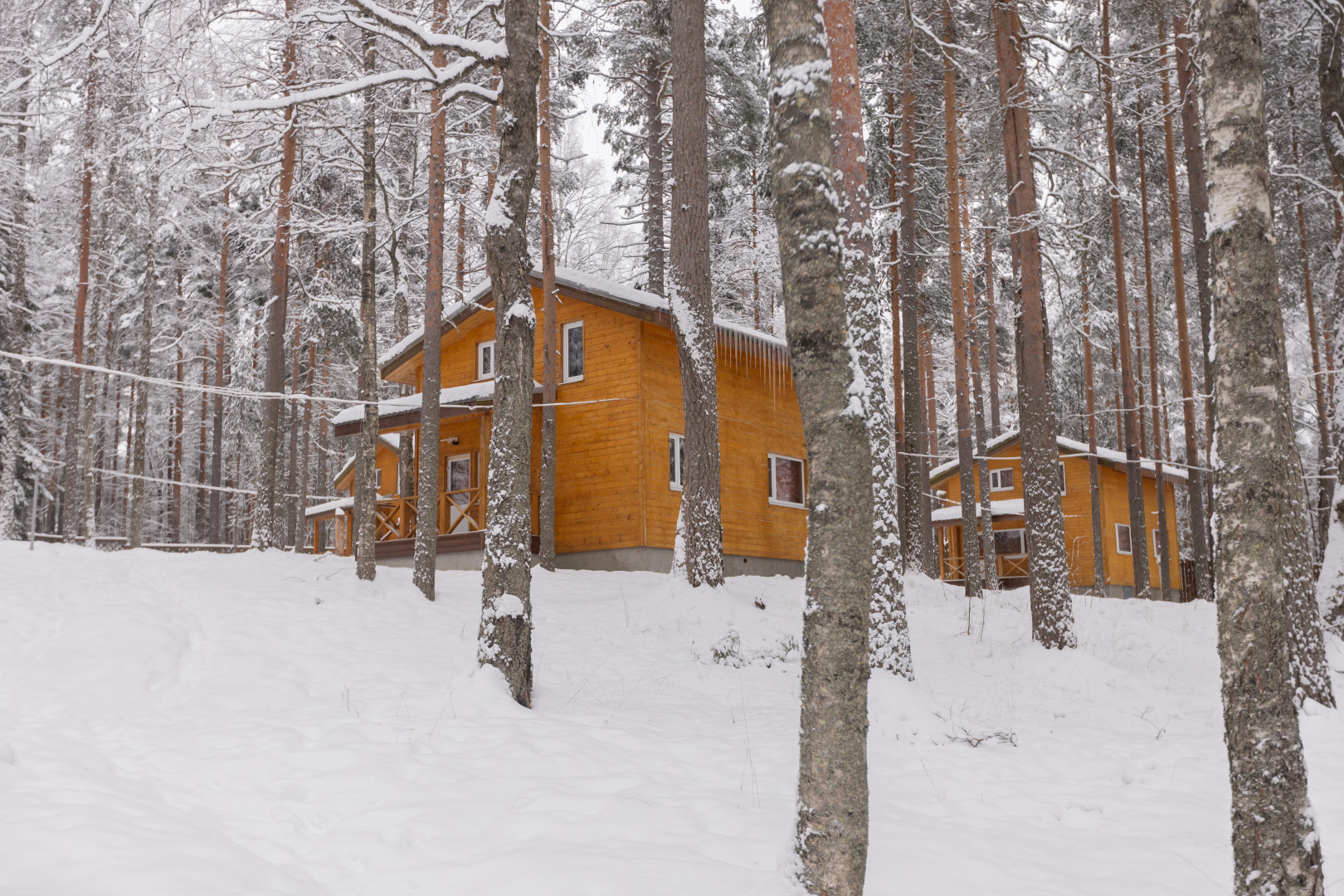 База отдыха Шишки Карелия