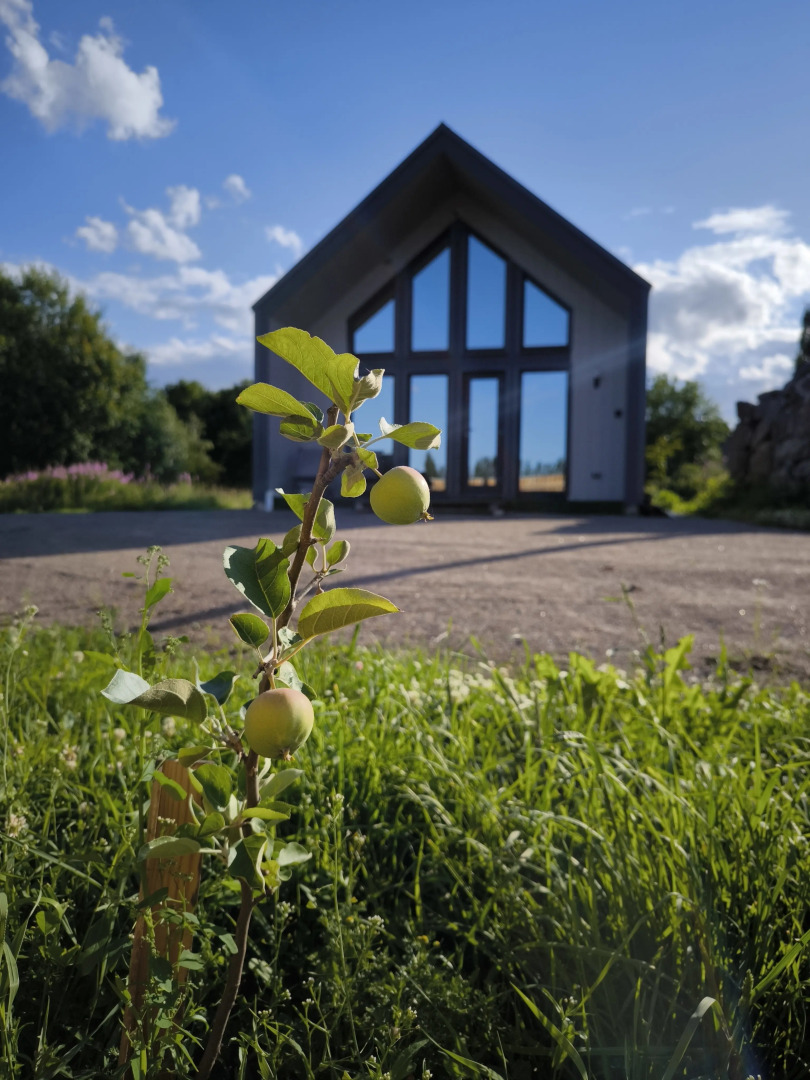 Частный дом Чёрный домик у озера Отрадное