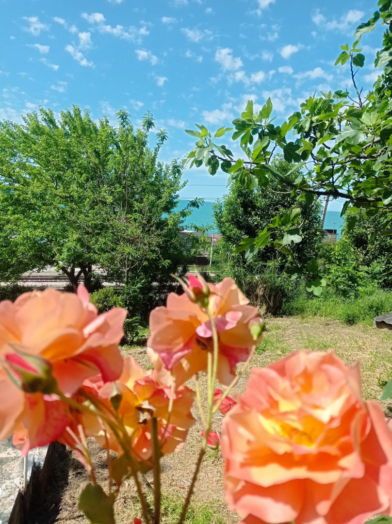 Гостевой дом Эвелинка