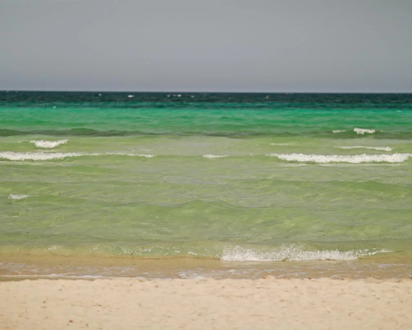 Dar Sidi Guest House