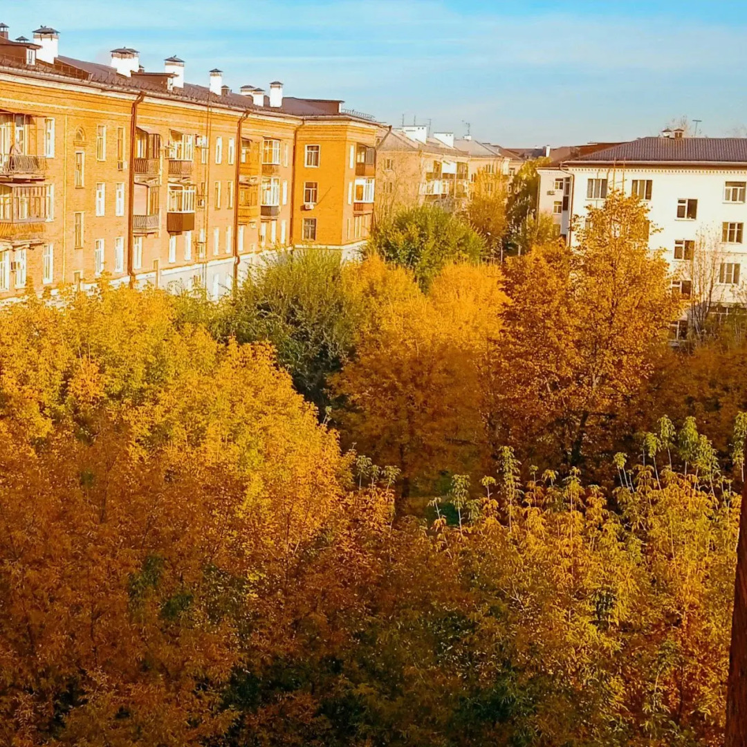 Квартира Студия с авторским декором Сказочный лес в красивом доме