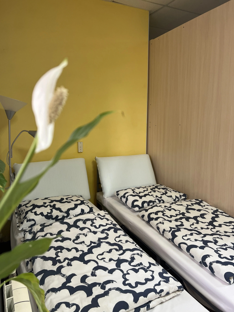 Хостел Лайк