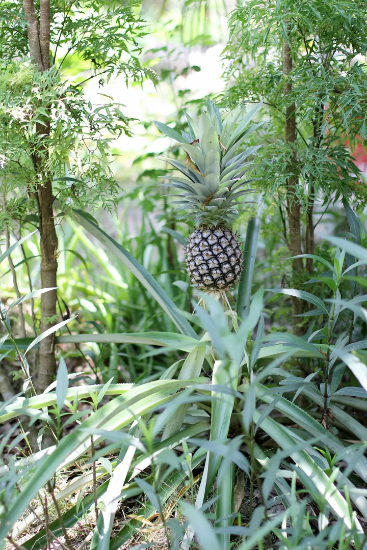 Гостевой дом Nhon Thanh Homestay