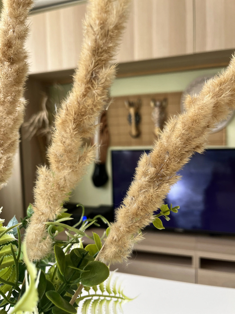 Квартира Сафари