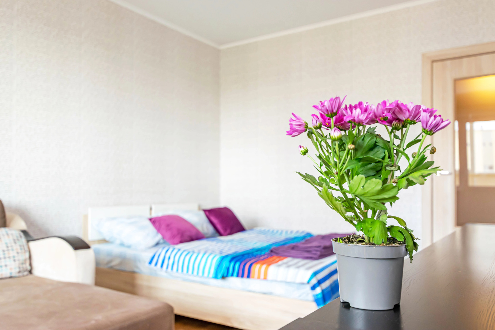 Апартаменты Сладких Снов на Комбайнеров 39Б