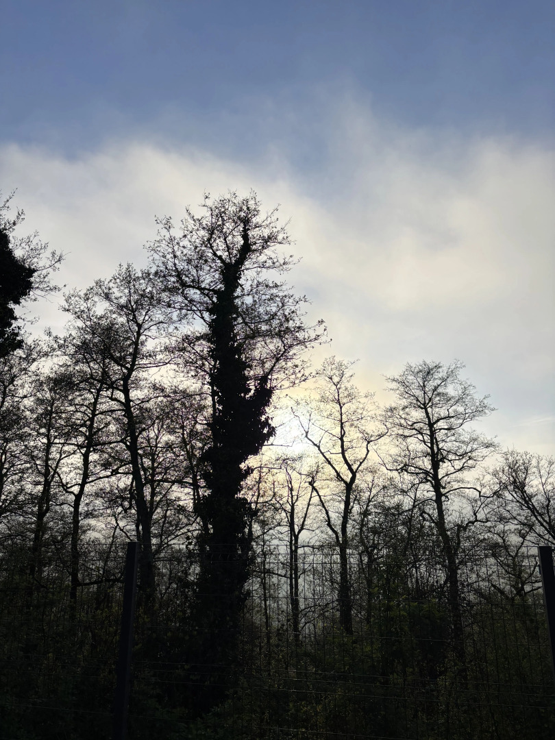 Частный Дом Крона Сочи