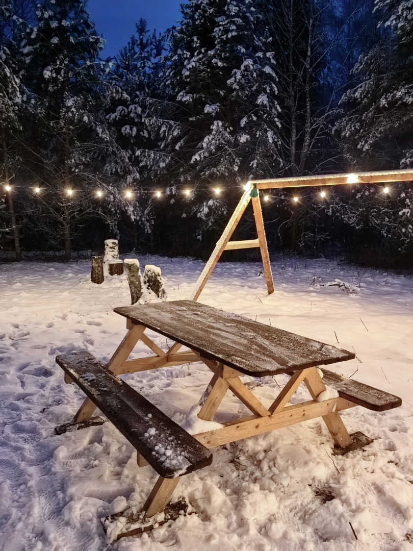 Шале неДача