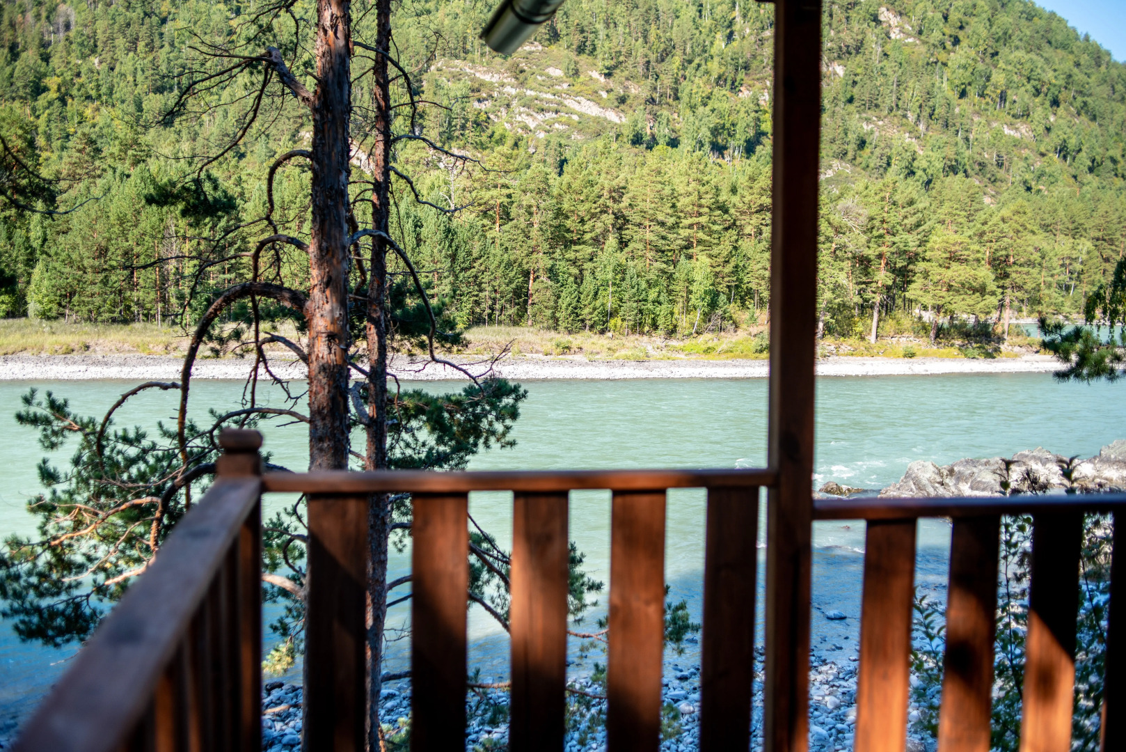 Гостевой дом АЛТАЙ БЕРЕГ ИП Рожнова Л.В.