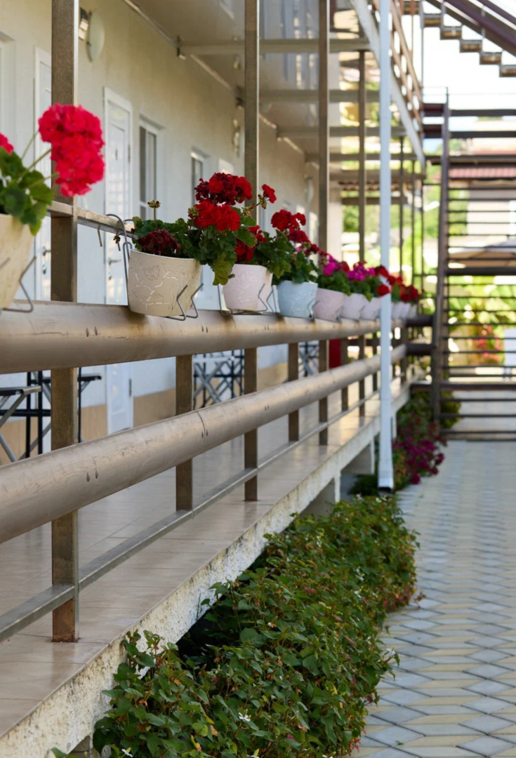 Guest house Tali on Dermanovskogo 42