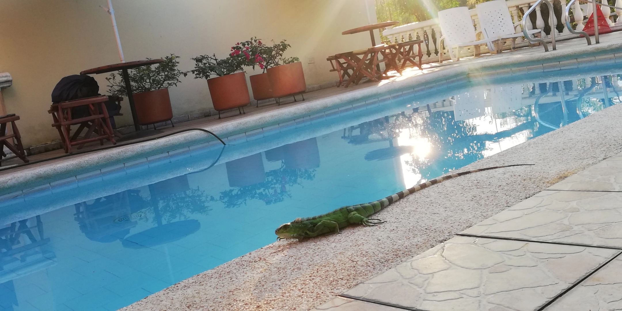 Апарт-Отель Jardin del Lago